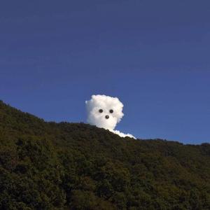 国产免费野战视频
