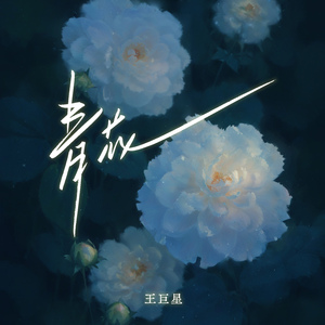 国产免费野战视频
