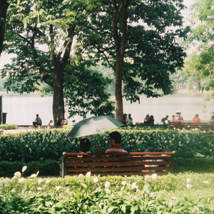 国产免费野战视频
