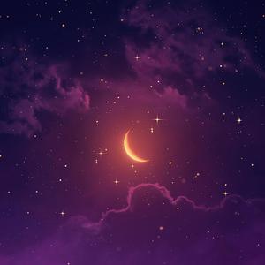 国产免费野战视频
